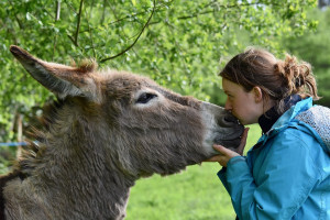 ass-kissing, the right way!