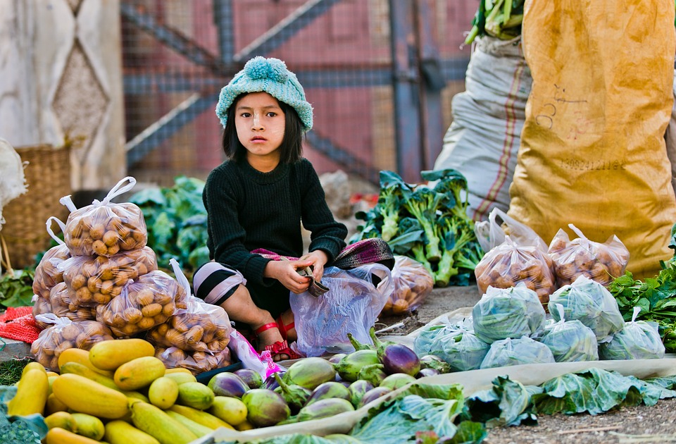food, quality and children
