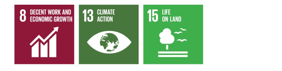 carbon offsetting brazil deforestation reduction sdg's