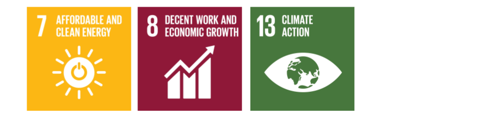 carbon offsetting india solarfarm sdg's