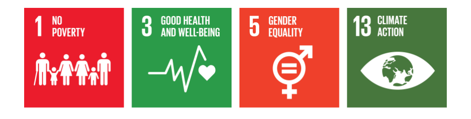 carbon offsetting cookstoves sdg's
